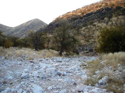 Stony Riverbed