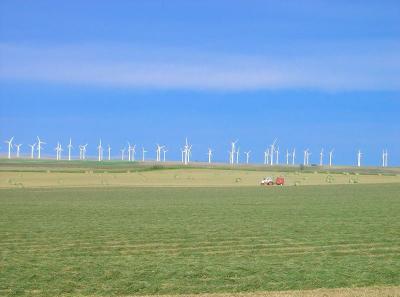 Haying Season in Alberta