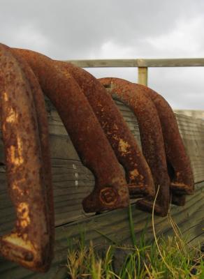 Horse shoes at PTA.jpg