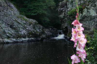 Moulin du Saillant