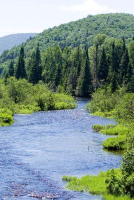 Parc national du Mont-Tremblant camping