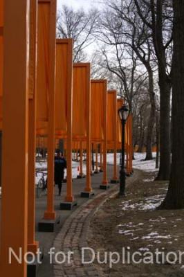 PICT0025-1.jpg