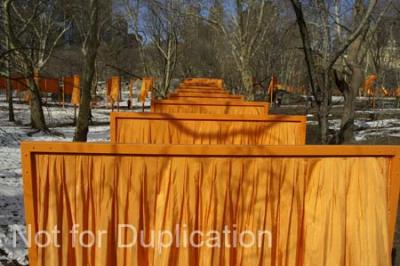 PICT0028.jpg