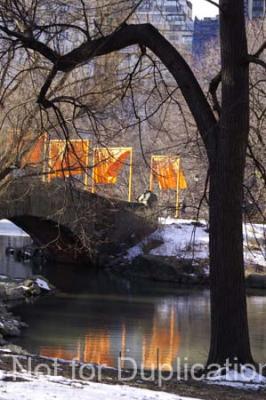 PICT0032.jpg