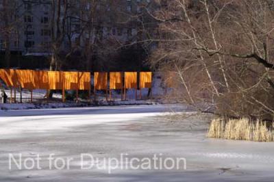 PICT0042.jpg