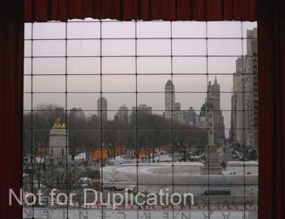 The Gates - Central Park - New York City - February, 2005