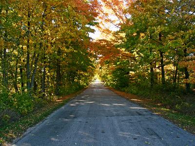 Dane County, WI