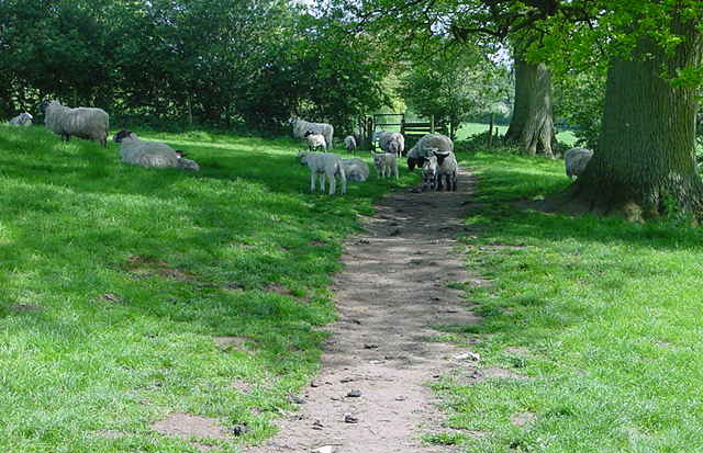 Slaughter Trail Cotswolds