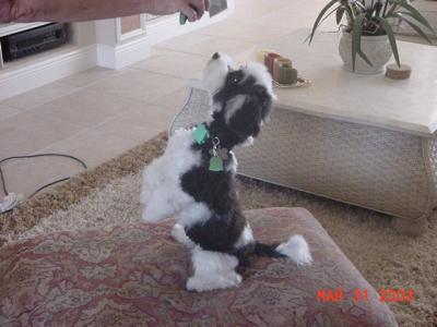 How about sit up