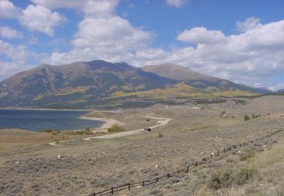 Aspen turning on Independence Pass