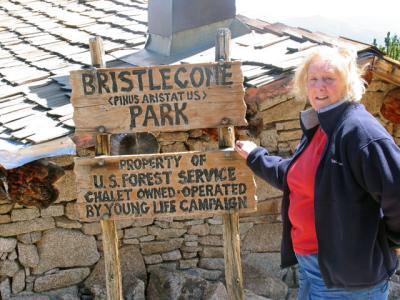 Bristlecone Chalet