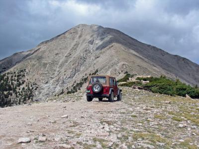 Forrest and Mount Princeton