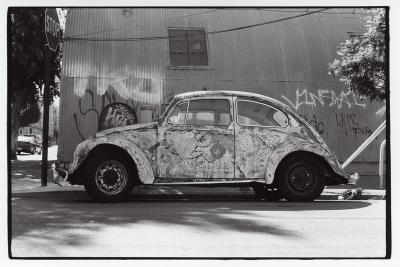 beetle.jpg