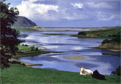 v3/13/583113/3/47111056.LOUGHROSBEGBAY.jpg