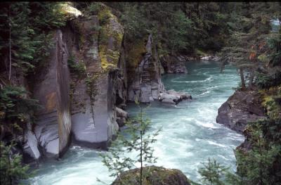 v3/13/583113/3/49869450.MOUNTROBSONPARK.jpg