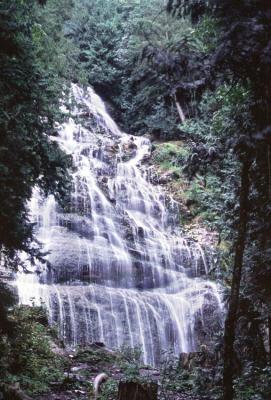 v3/13/583113/3/49869471.BRIDLEFALLSNEARHOPE.jpg