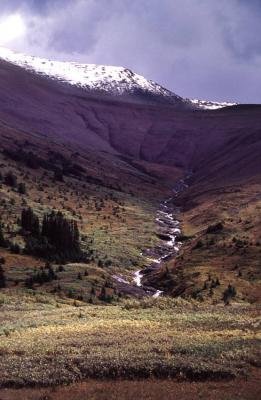 OPAL-HILLS-WALK5.jpg