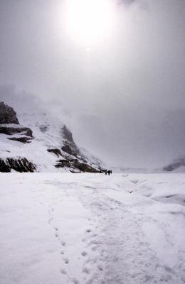 ATHABASCA-GLACIER2.jpg