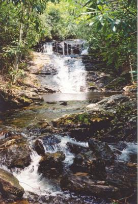 Waterfalls in North Carolina