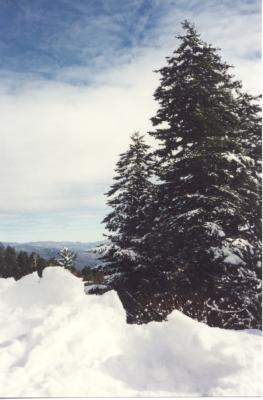 Clingman's Dome