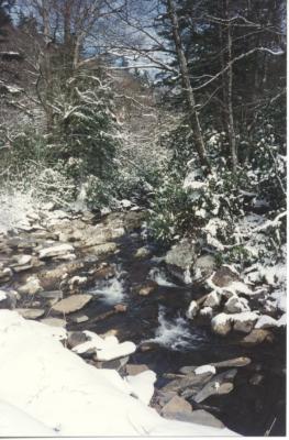 Little River, Great Smoky Mountains National Park