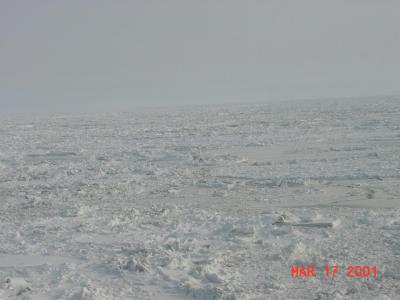 frozen_ocean.JPG