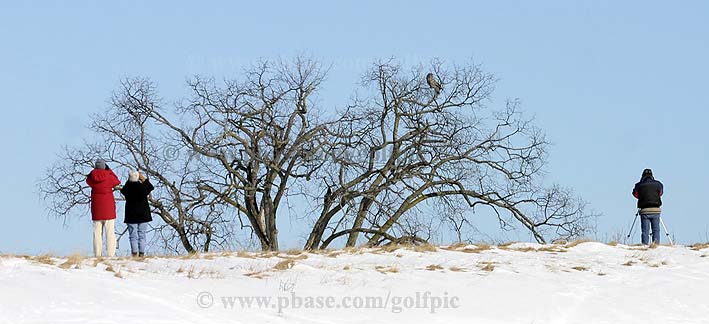 Birders and photographers (My comments)