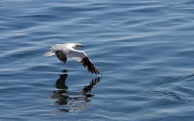 Flight over water