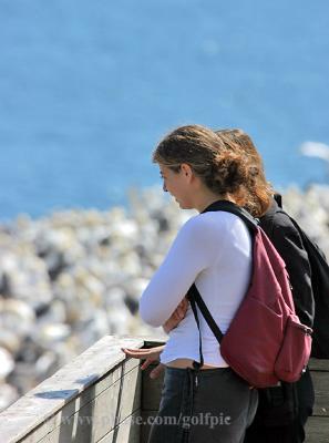 A couple of bird watchers take in the Gannets