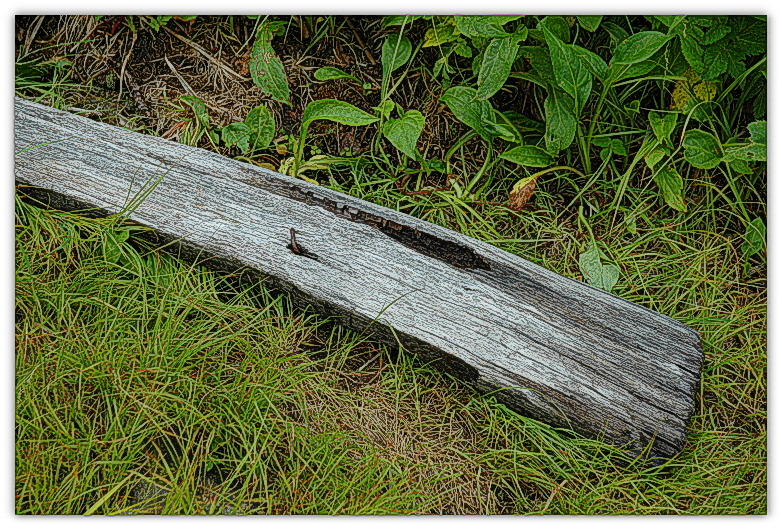 A stick with a nail