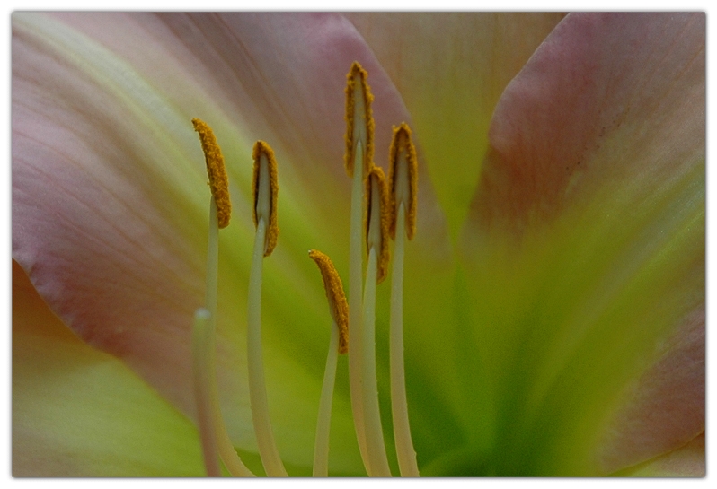 Bees eye view