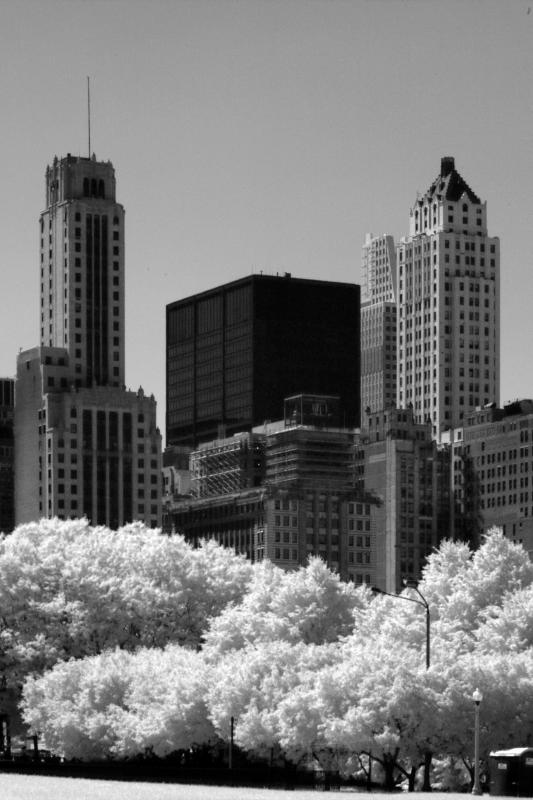 IMG08405.jpg