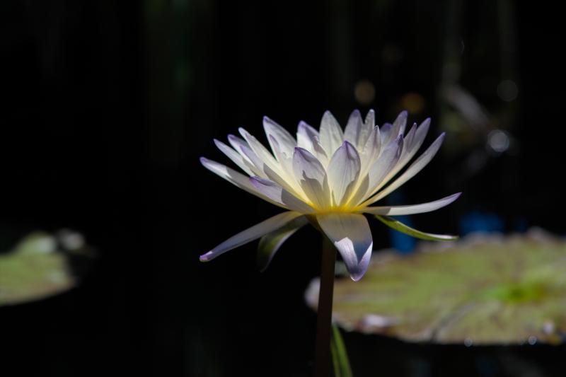 IMG00775_profiled.jpg