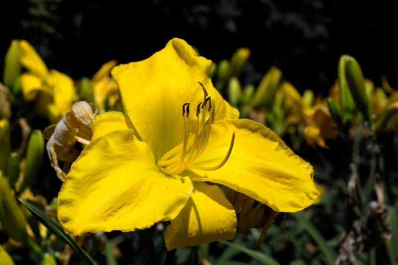 IMG00817_profiled.jpg