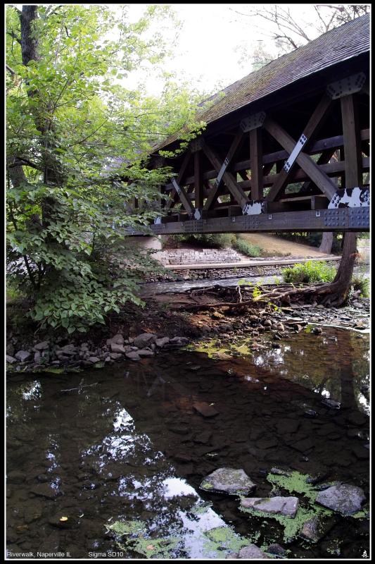 IMG01242.jpg