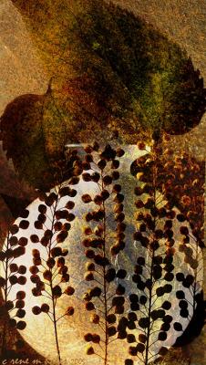 leafy seeds