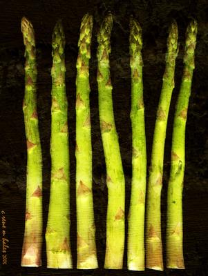 asparagus in a line