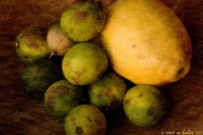 lemon & limes