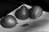 Sudek with pears