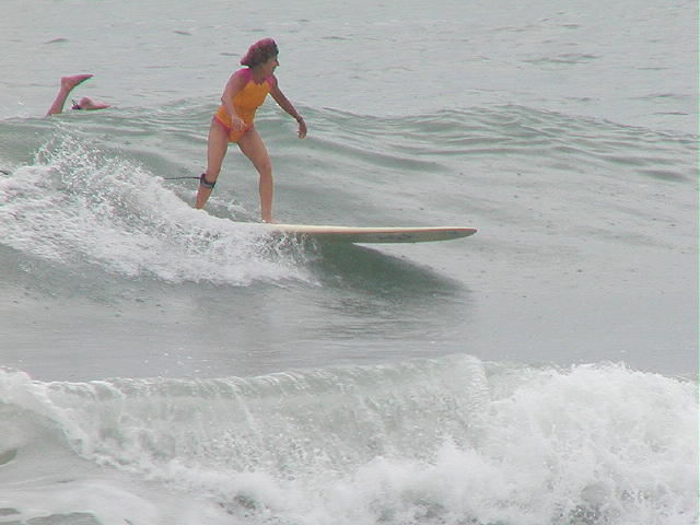 P1010097 2.JPG