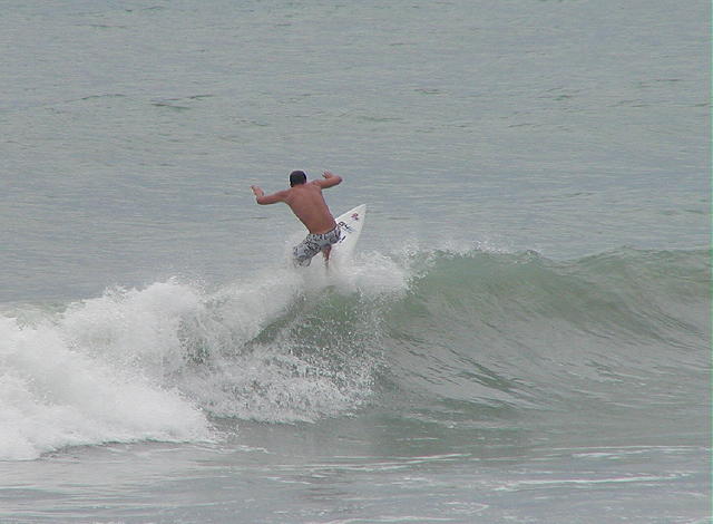 P1010025 2.JPG
