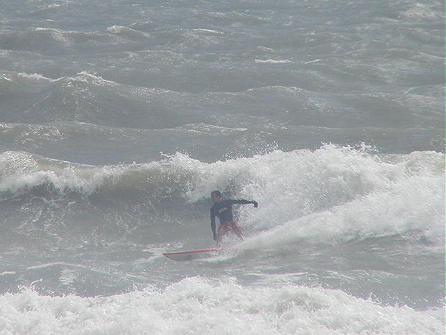 P1010020 2.JPG