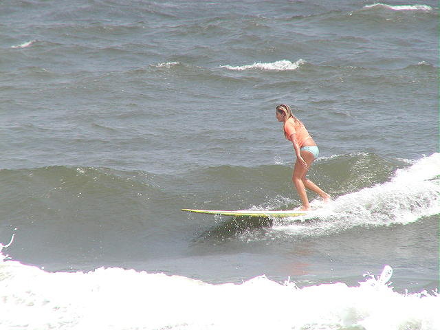 P9030058 2b.JPG