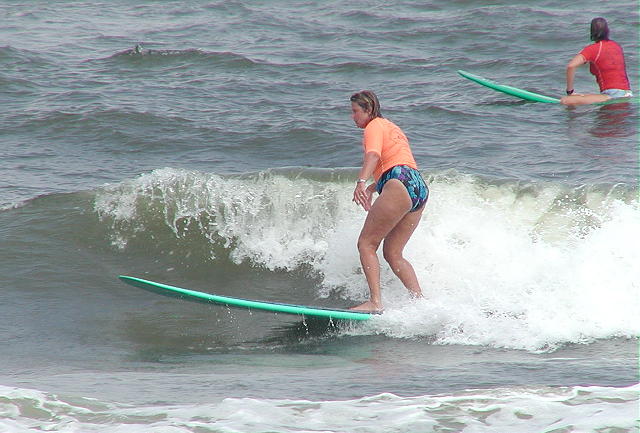 P9030083 2b.JPG