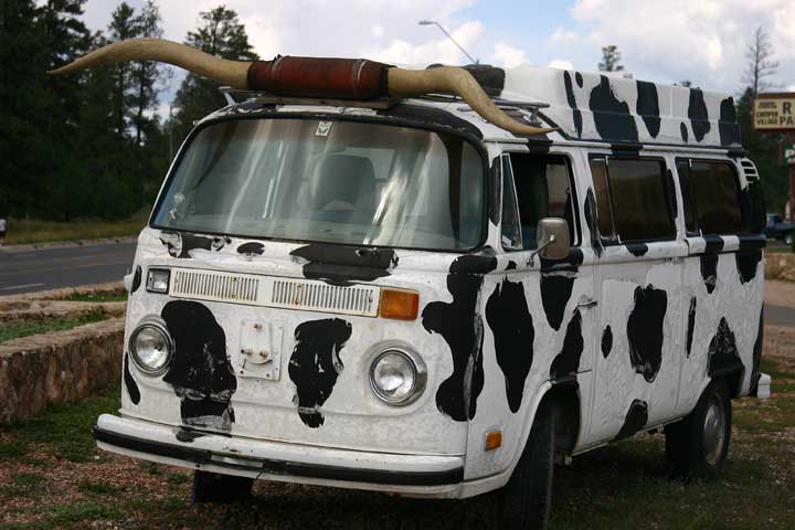VW Longhorn Bus