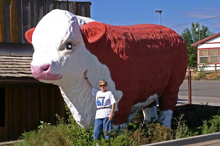  Fiberglass Beef Cow