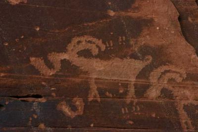 Petroglyphs at Moonflower Canyon