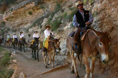 Mule Ride to Phantom Ranch