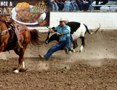 Steer Wrestling