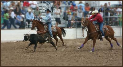 Team Roping #2